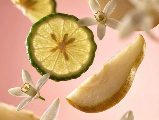 Angham Second Song Lattafa