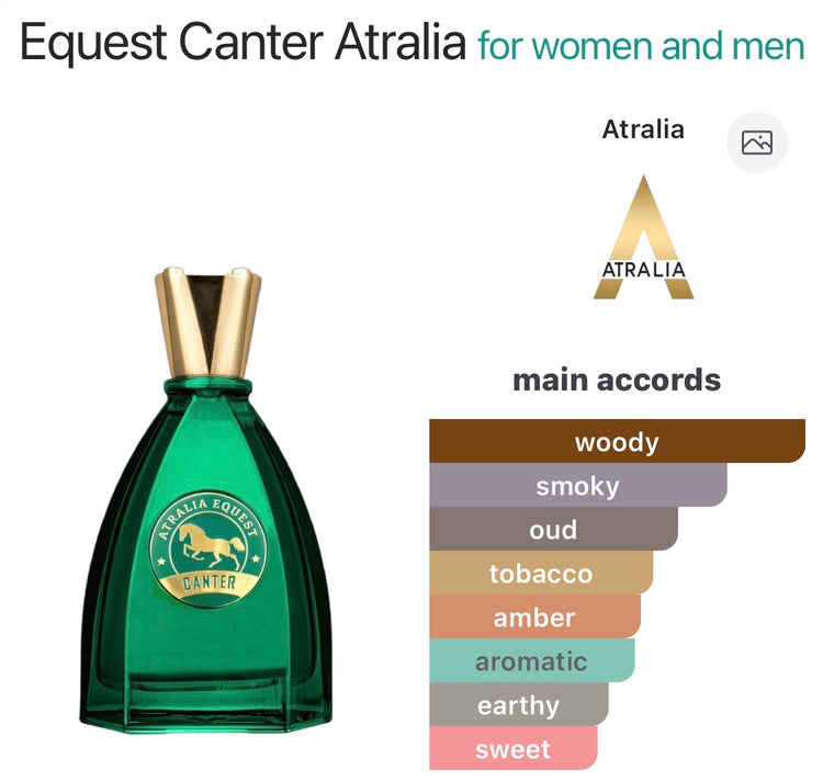 Equest Canter by Atralia (black afgano by nasomato)